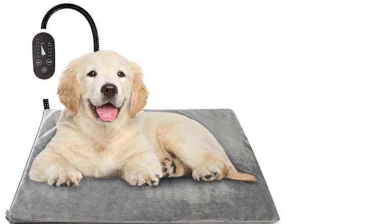 estera de calor para perros