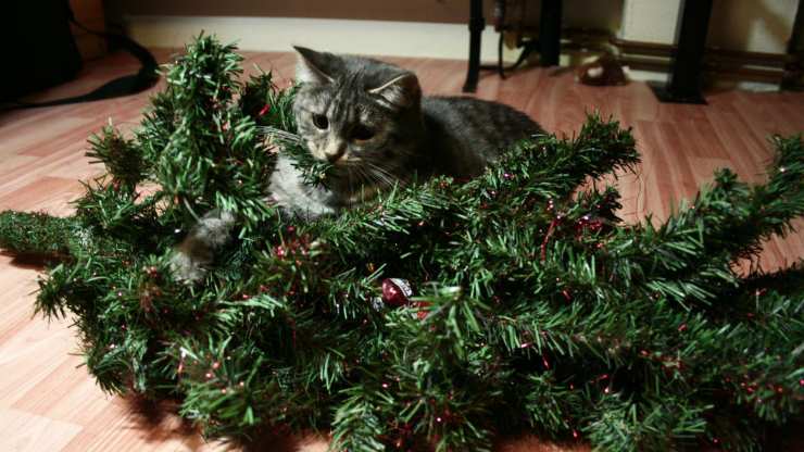 gato y árbol de navidad