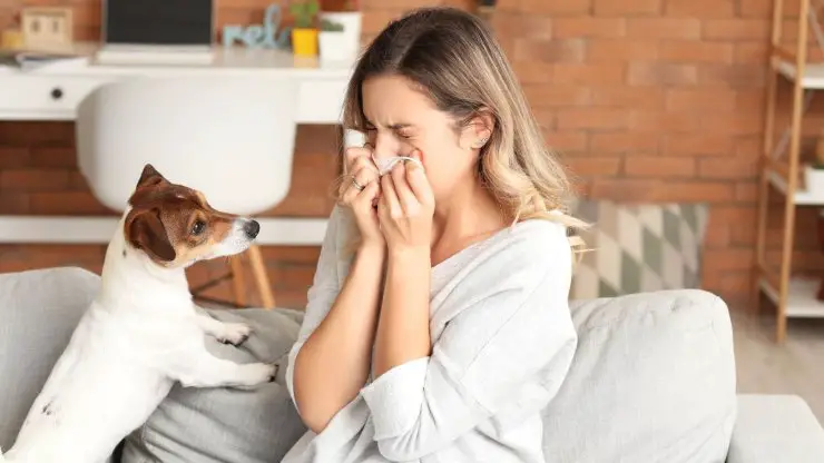 Perro y amante enferma