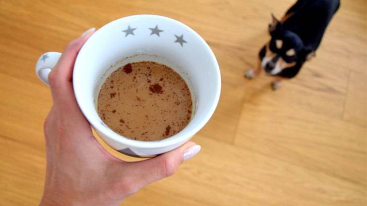 perro y cafe