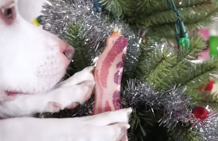 perro maymo árbol de navidad