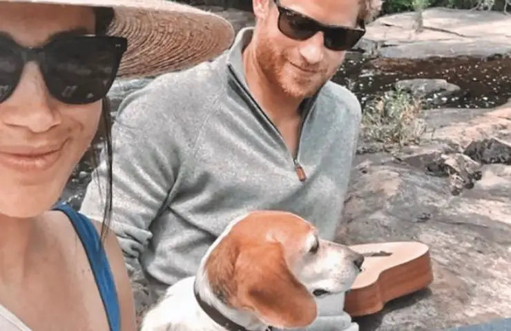 harry meghan siempre él