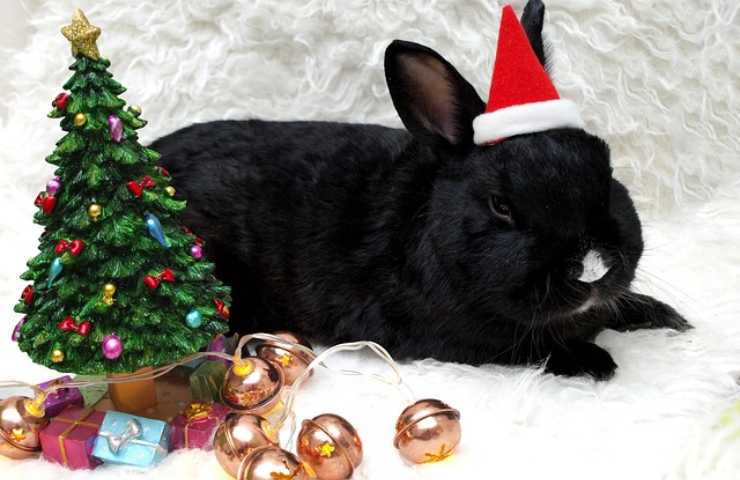 Conejo y pequeño árbol de Navidad