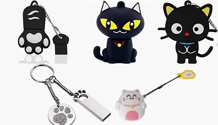 pen drive gato