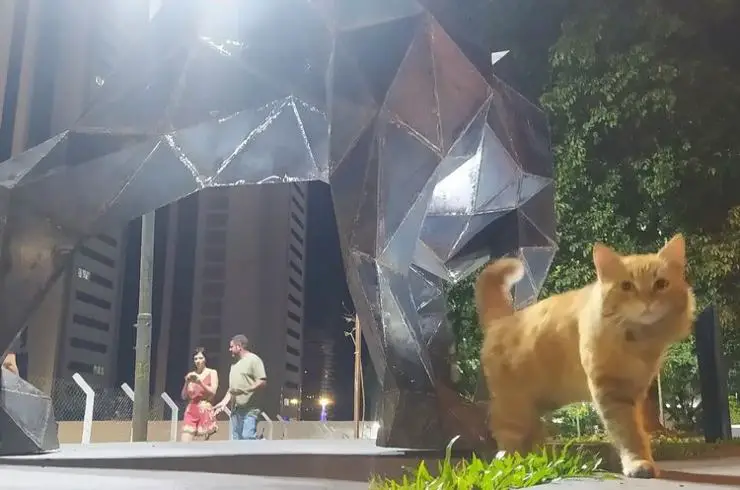 visitante de la estatua del jaguar