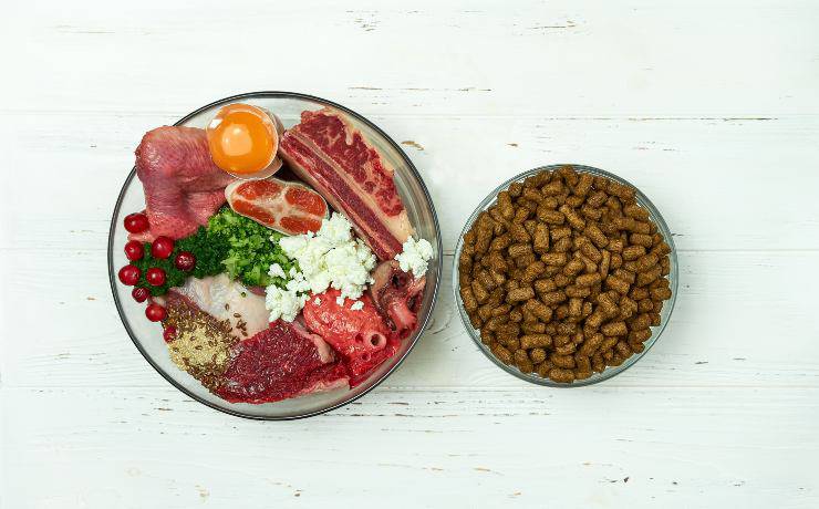 comida para perros