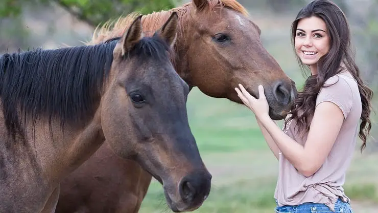 Regalos para entusiastas de los animales Navidad 2022