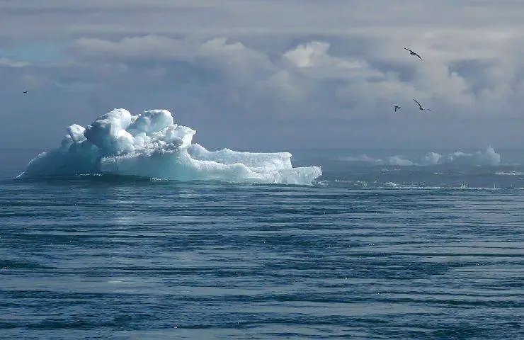 Emisiones de CO2 especies se extinguirán