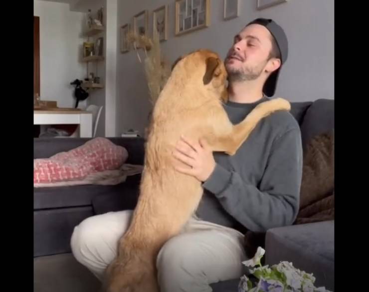 papá sale cachorro