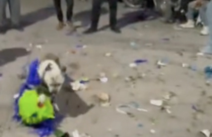 perro roba piñata navideña