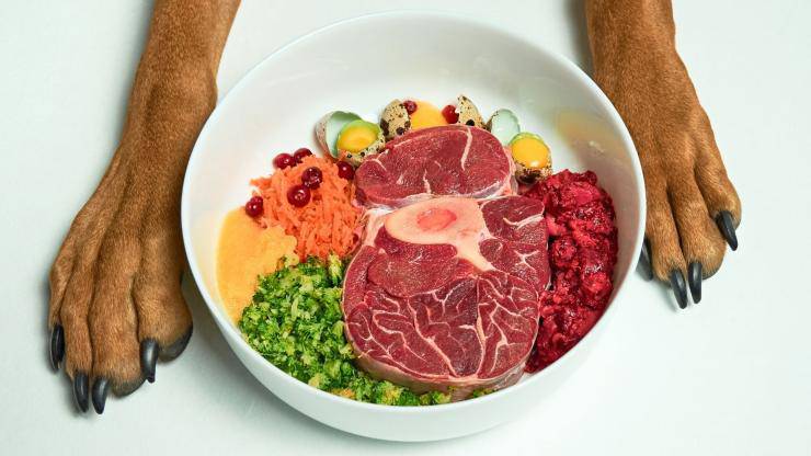 Comida completa para el perro.