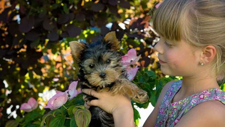 perro y niña