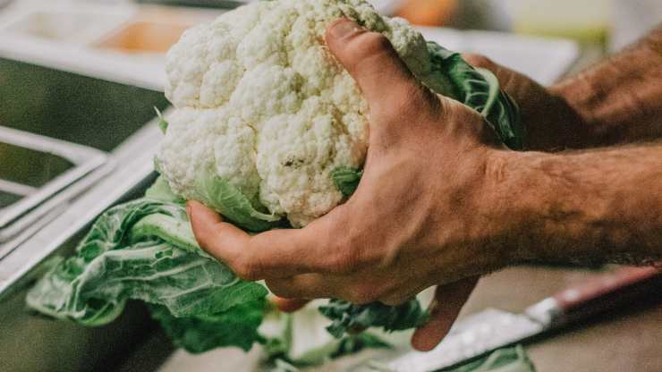 coliflor