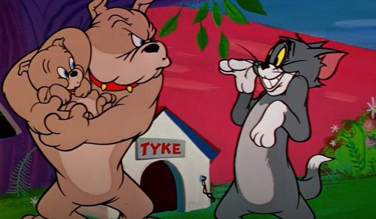 perros tom y jerry
