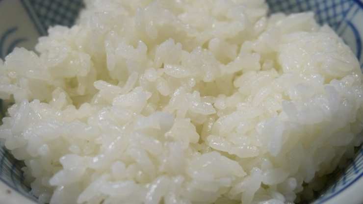 arroz