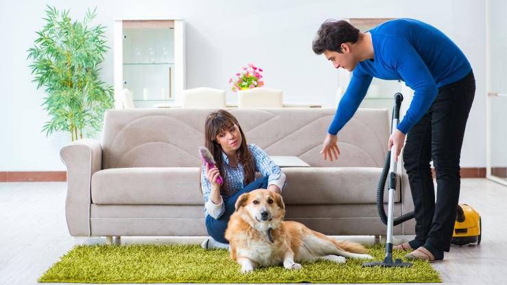 Limpiar la casa si un perro vive con nosotros
