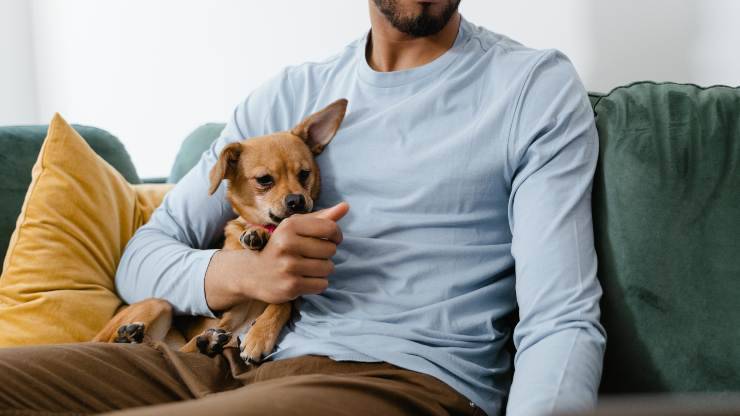 perro y hombre