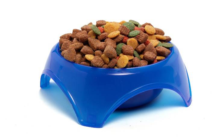 comida de perro
