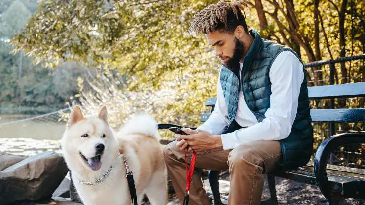 porque no miras tu celular cuando paseas al perro