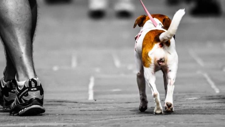 Corriendo con el perro