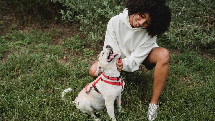 perro con mujer
