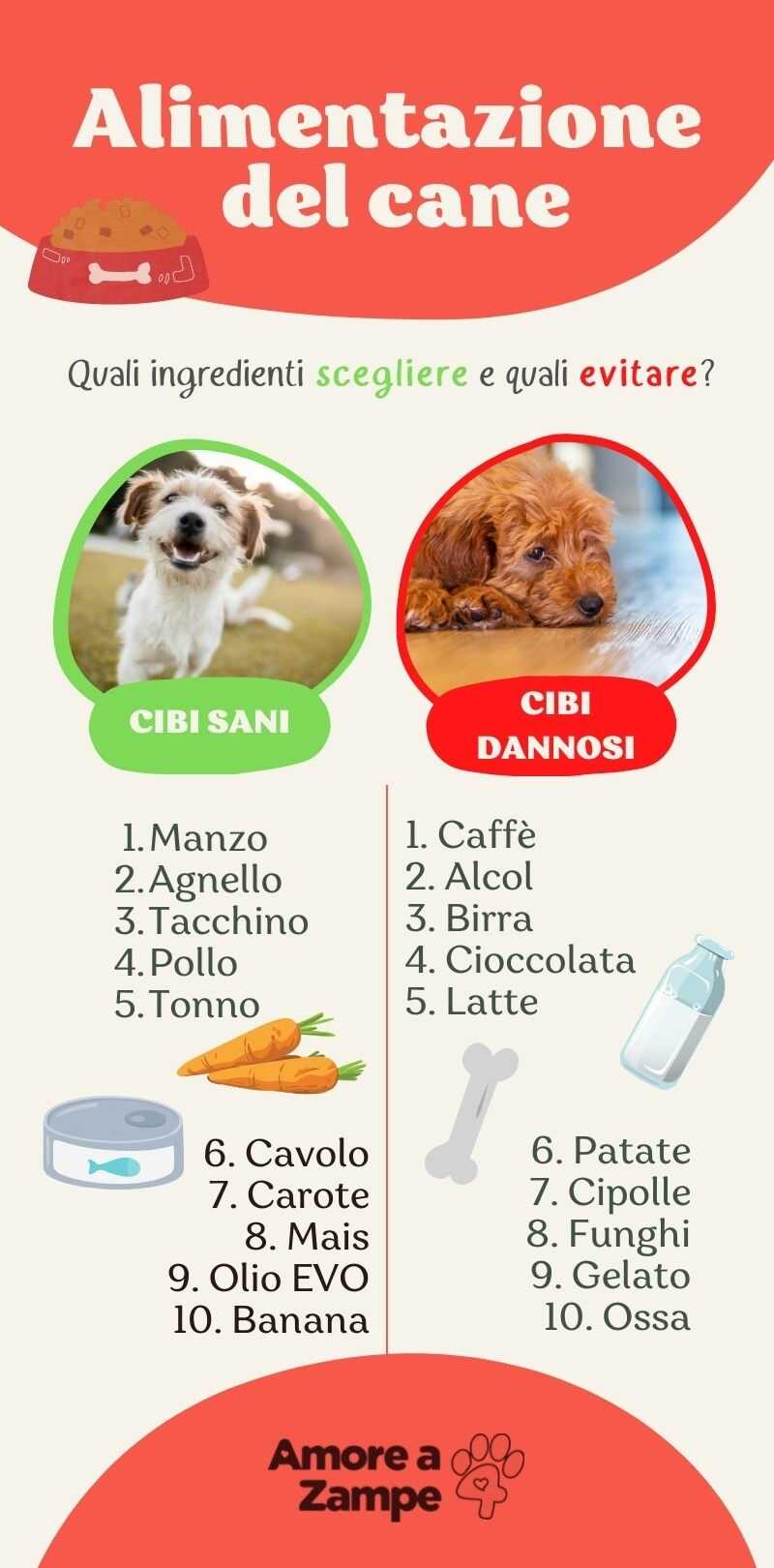 Clasificación croquetas para perros