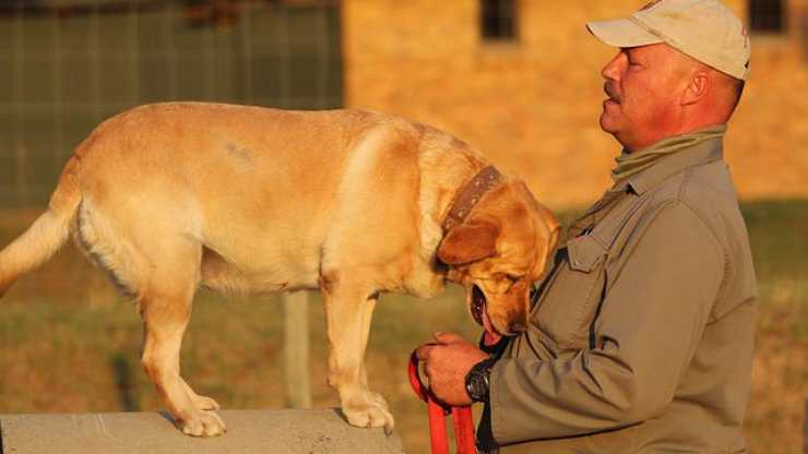 perro abraza a hombre