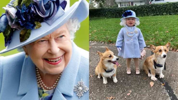 chica vestir reina corgi