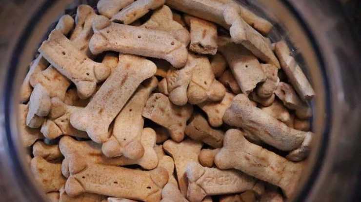 Galletas de mantequilla de maní y tocino para perros: una receta deliciosa  - Vida con Mascotas ▷➡️