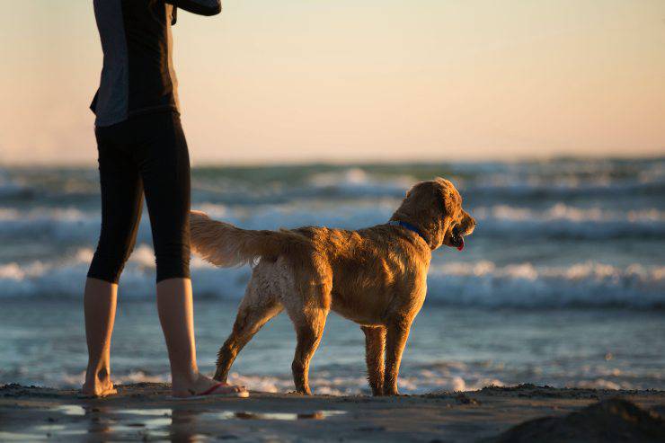 Deporte con confianza en el mar