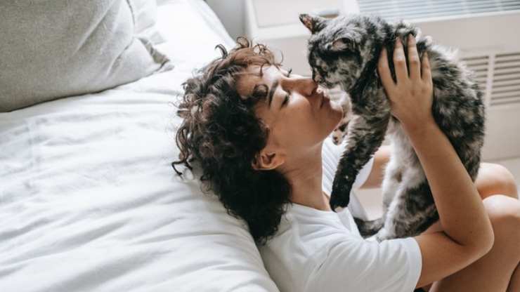 actividades relajantes para hacer con el gato