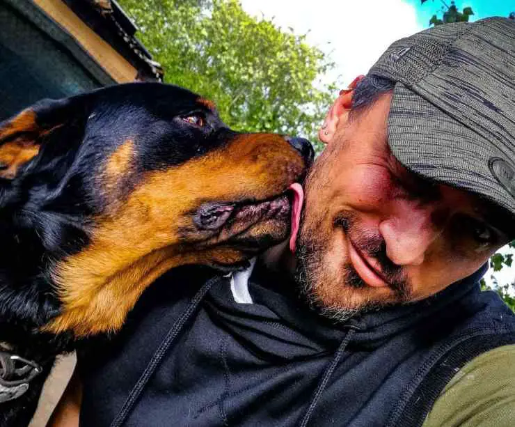 microchip robado perro
