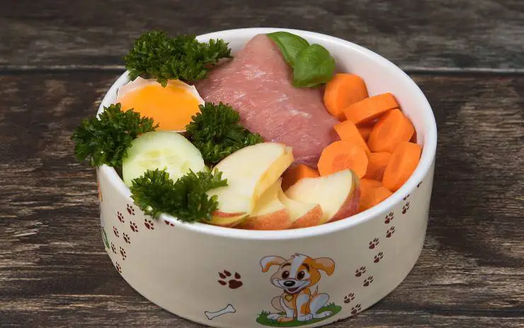 comida para perros
