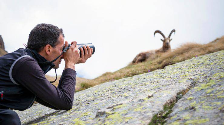 Realizador de documentales de animales