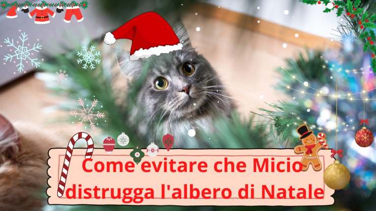 Gato toca el árbol de Navidad