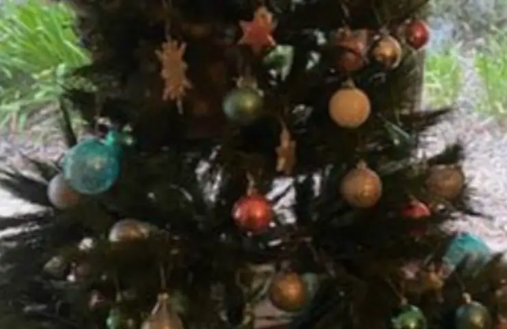 árbol de navidad mueve gato