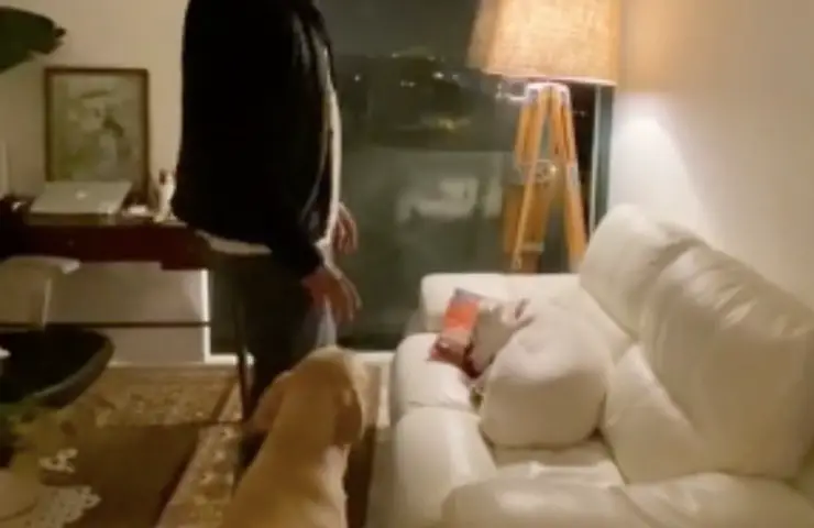 perro humita sordo despiertalo