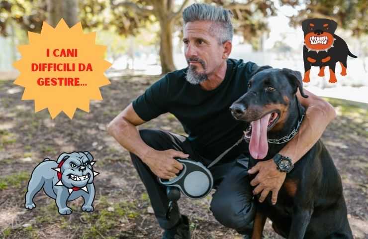 Perros dificiles de manejar