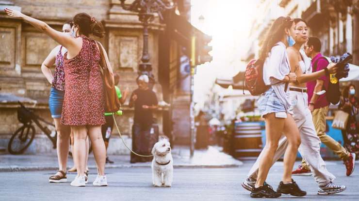 El perro tiene miedo a los ruidos cuando sale