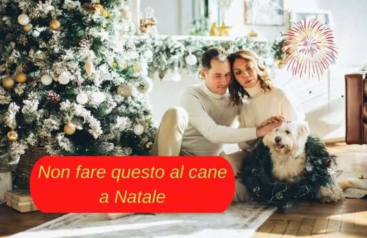 Perro con la familia en Navidad