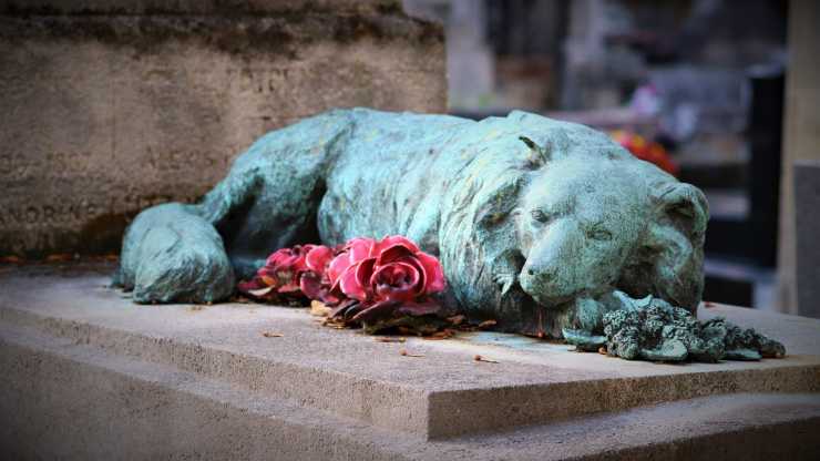 perro de monopolio