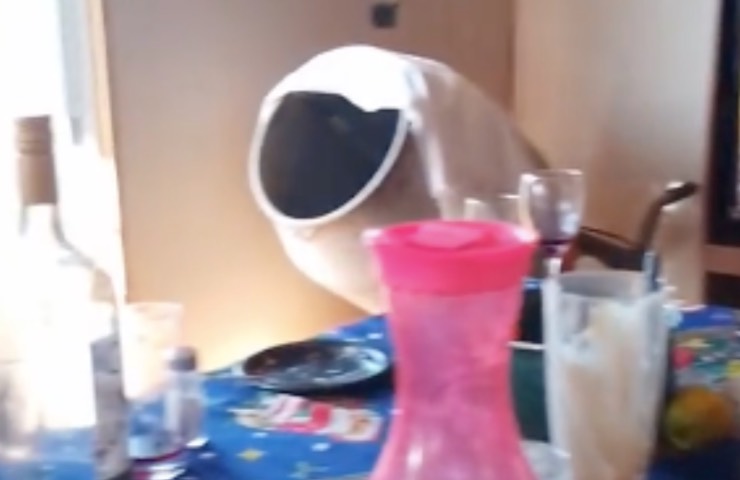 familia pone los ojos en blanco escuchado