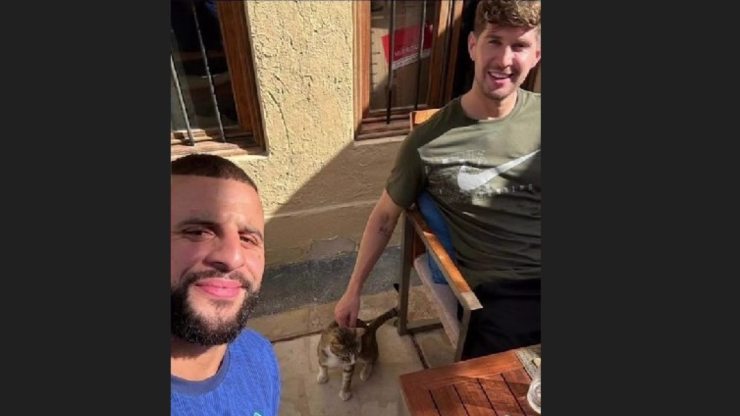 El equipo de Inglaterra adopta un gato