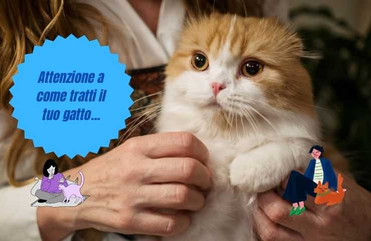 Podemos influir en el gato.