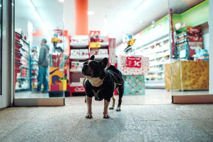 Compras con el perro Compras con el perro