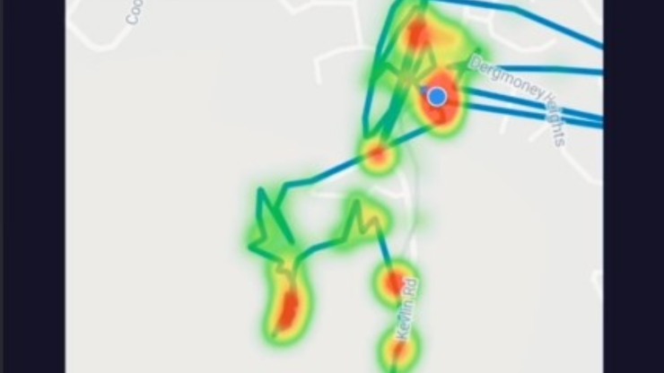 gato gps en