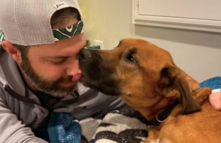 el perro Theo desaparece en el estacionamiento