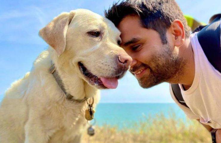 maestro de perros ciego increíble