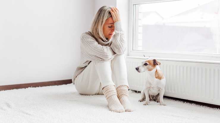 los perros huelen el estrés