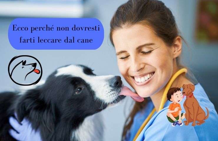 Perro lame a una mujer